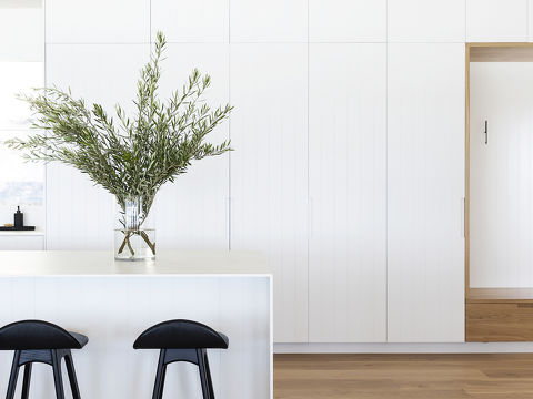 VidaSpace Venture Plank