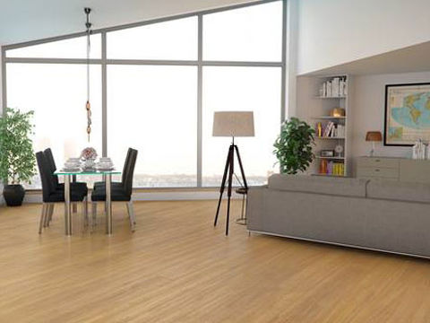 Vinyl Planking In Apartment